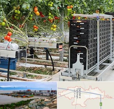 فروش تجهیزات گلخانه در بندر ترکمن