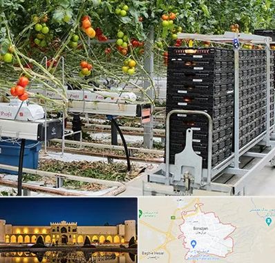 فروش تجهیزات گلخانه در برازجان