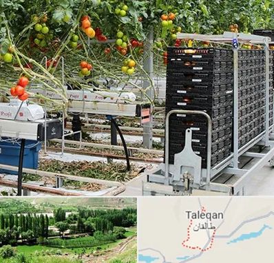 فروش تجهیزات گلخانه در طالقان