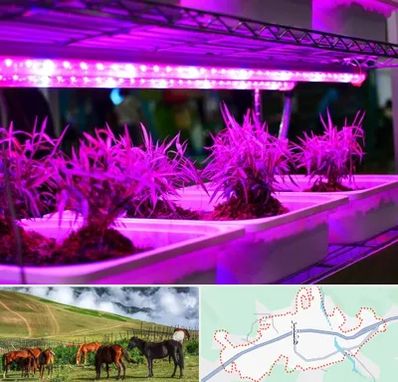 فروش لامپ رشد گیاه در تالش