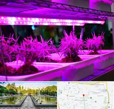 فروش لامپ رشد گیاه در سرسبز 