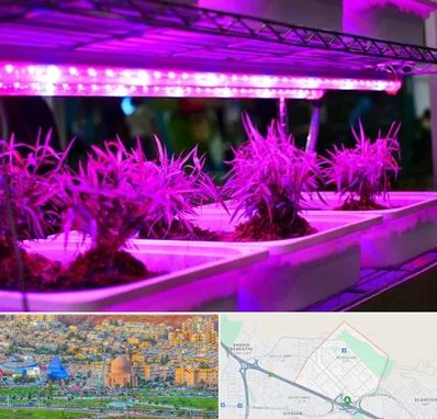 فروش لامپ رشد گیاه در رشدیه تبریز