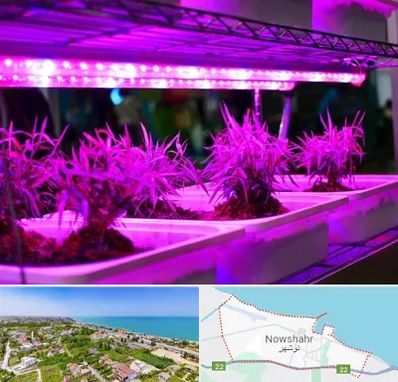 فروش لامپ رشد گیاه در نوشهر