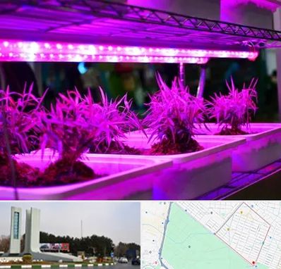 فروش لامپ رشد گیاه در بلوار فلسیطین مشهد