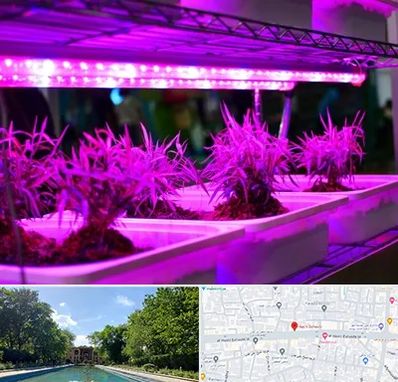 فروش لامپ رشد گیاه در هشت بهشت اصفهان 