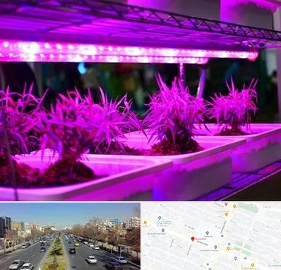 فروش لامپ رشد گیاه در بلوار معلم مشهد 