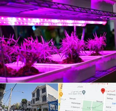 فروش لامپ رشد گیاه در افسریه 