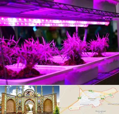 فروش لامپ رشد گیاه در سمنان
