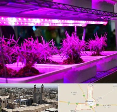 فروش لامپ رشد گیاه در سبزوار