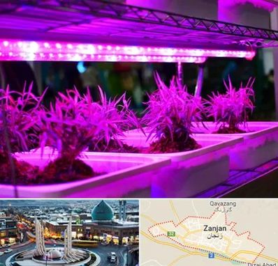 فروش لامپ رشد گیاه در زنجان