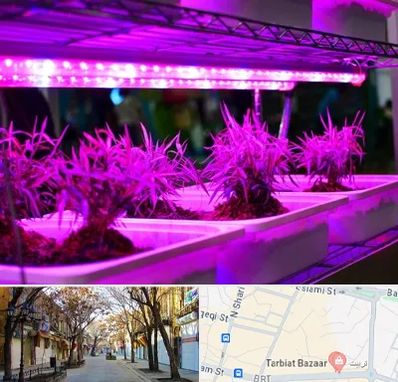 فروش لامپ رشد گیاه در تربیت تبریز