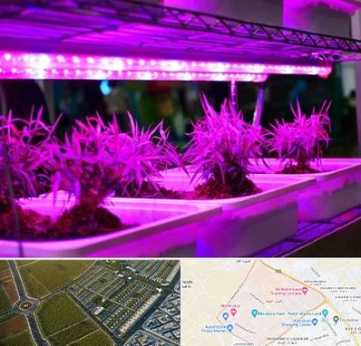 فروش لامپ رشد گیاه در الهیه مشهد 