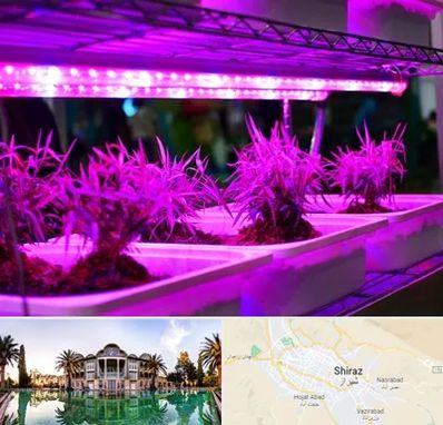 فروش لامپ رشد گیاه در شیراز