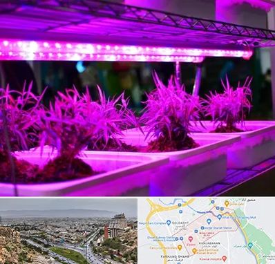 فروش لامپ رشد گیاه در معالی آباد شیراز 
