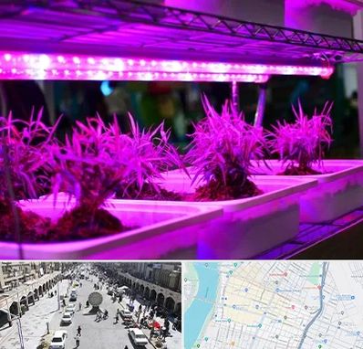 فروش لامپ رشد گیاه در نادری اهواز 