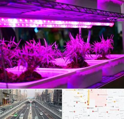 فروش لامپ رشد گیاه در توحید 