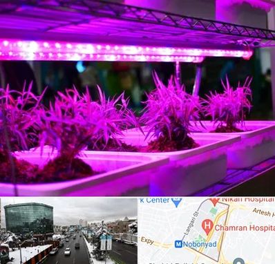 فروش لامپ رشد گیاه در اقدسیه 