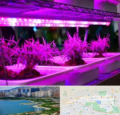 فروش لامپ رشد گیاه در منطقه 22 تهران 