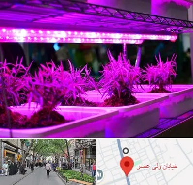 فروش لامپ رشد گیاه در ولیعصر شهریار