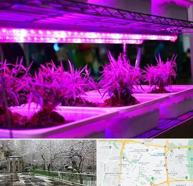 فروش لامپ رشد گیاه در باغ فیض