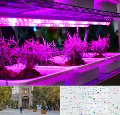 فروش لامپ رشد گیاه در منطقه 12 تهران 