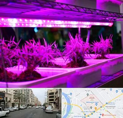 فروش لامپ رشد گیاه در زیتون کارمندی اهواز 