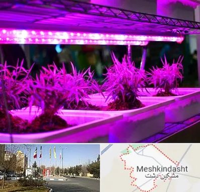 فروش لامپ رشد گیاه در مشکین دشت