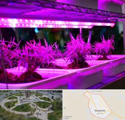 فروش لامپ رشد گیاه در ورامین