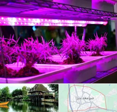 فروش لامپ رشد گیاه در صومعه سرا