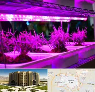 فروش لامپ رشد گیاه در نجف آباد