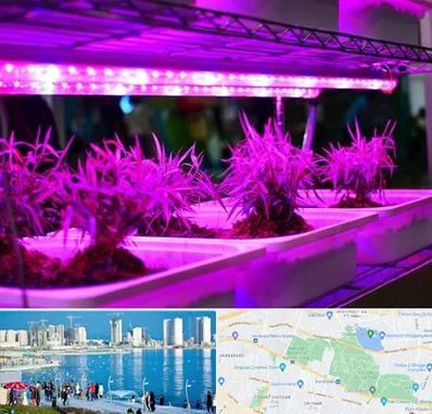 فروش لامپ رشد گیاه در چیتگر 