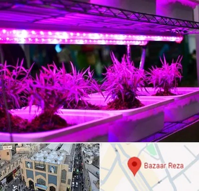 فروش لامپ رشد گیاه در بازار رضا مشهد
