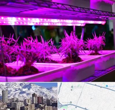 فروش لامپ رشد گیاه در ازگل