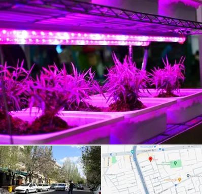فروش لامپ رشد گیاه در کوی فیروز تبریز