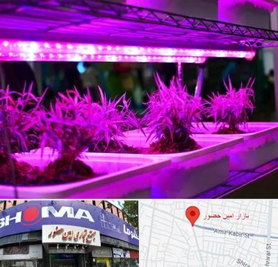 فروش لامپ رشد گیاه در امین حضور
