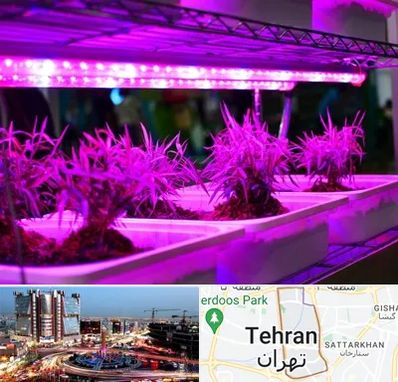 فروش لامپ رشد گیاه در صادقیه 