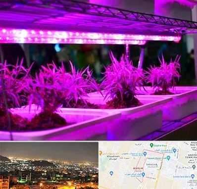 فروش لامپ رشد گیاه در مارلیک کرج 