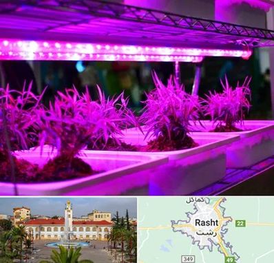 فروش لامپ رشد گیاه در رشت