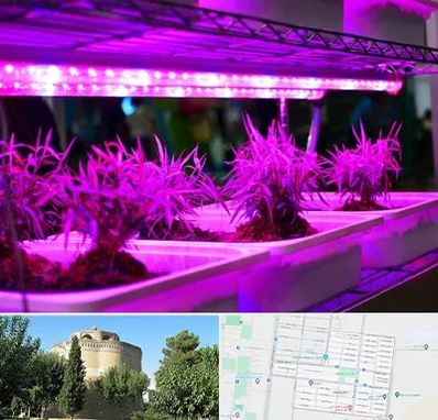 فروش لامپ رشد گیاه در مرداویج اصفهان 