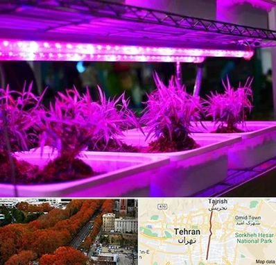 فروش لامپ رشد گیاه در ولیعصر 