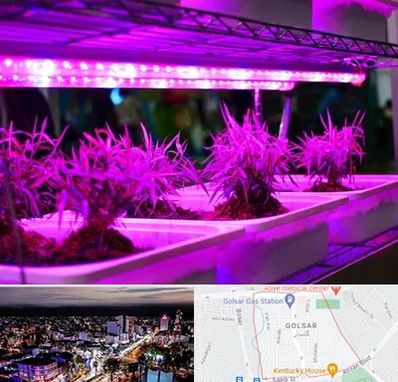 فروش لامپ رشد گیاه در گلسار رشت 