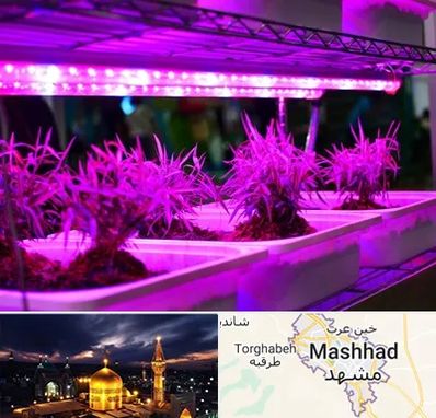 فروش لامپ رشد گیاه در مشهد