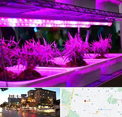فروش لامپ رشد گیاه در بلوار سجاد مشهد 