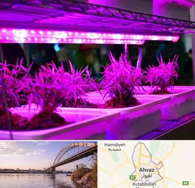 فروش لامپ رشد گیاه در اهواز