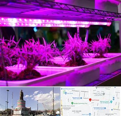 فروش لامپ رشد گیاه در کارگر جنوبی 