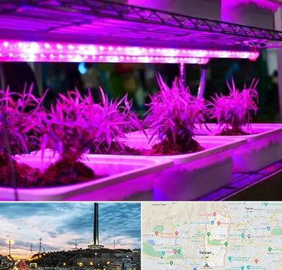 فروش لامپ رشد گیاه در منطقه 2 تهران 