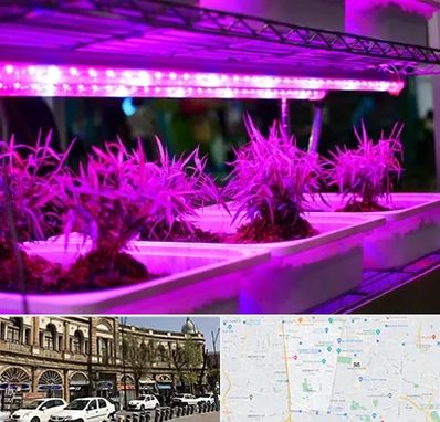 فروش لامپ رشد گیاه در منطقه 11 تهران 
