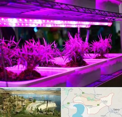 فروش لامپ رشد گیاه در شبستر