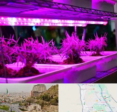 فروش لامپ رشد گیاه در فرهنگ شهر شیراز 