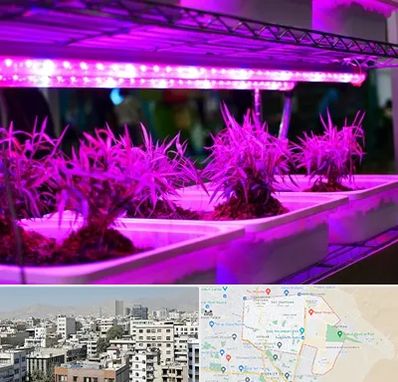 فروش لامپ رشد گیاه در منطقه 14 تهران 